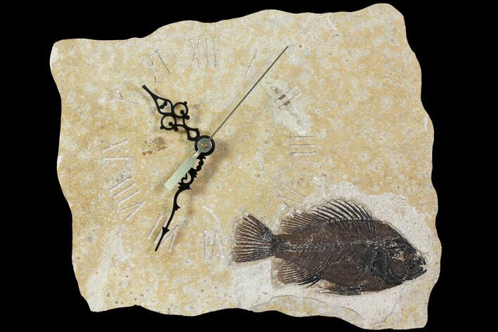 Wide Clock With Cockerellites Fish Fossil - Wyoming #114312